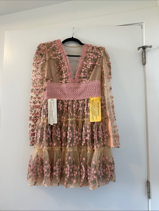 Bronx and Banco Dresses & Skirts - Bronx and Banco Pink Embroidered Tulle Long-Sleeve Mini Dress